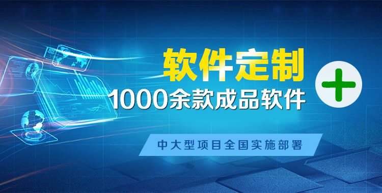 泸西管理系统软件软件开发